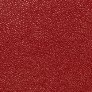 Leather Fantasy Red  + 400.00€ 